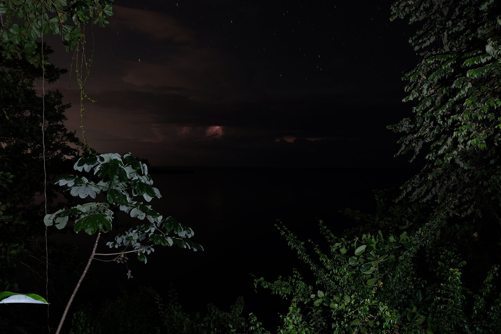 A nighttime photo of an ocean framed by foliage, with a dark sky and thunderclouds