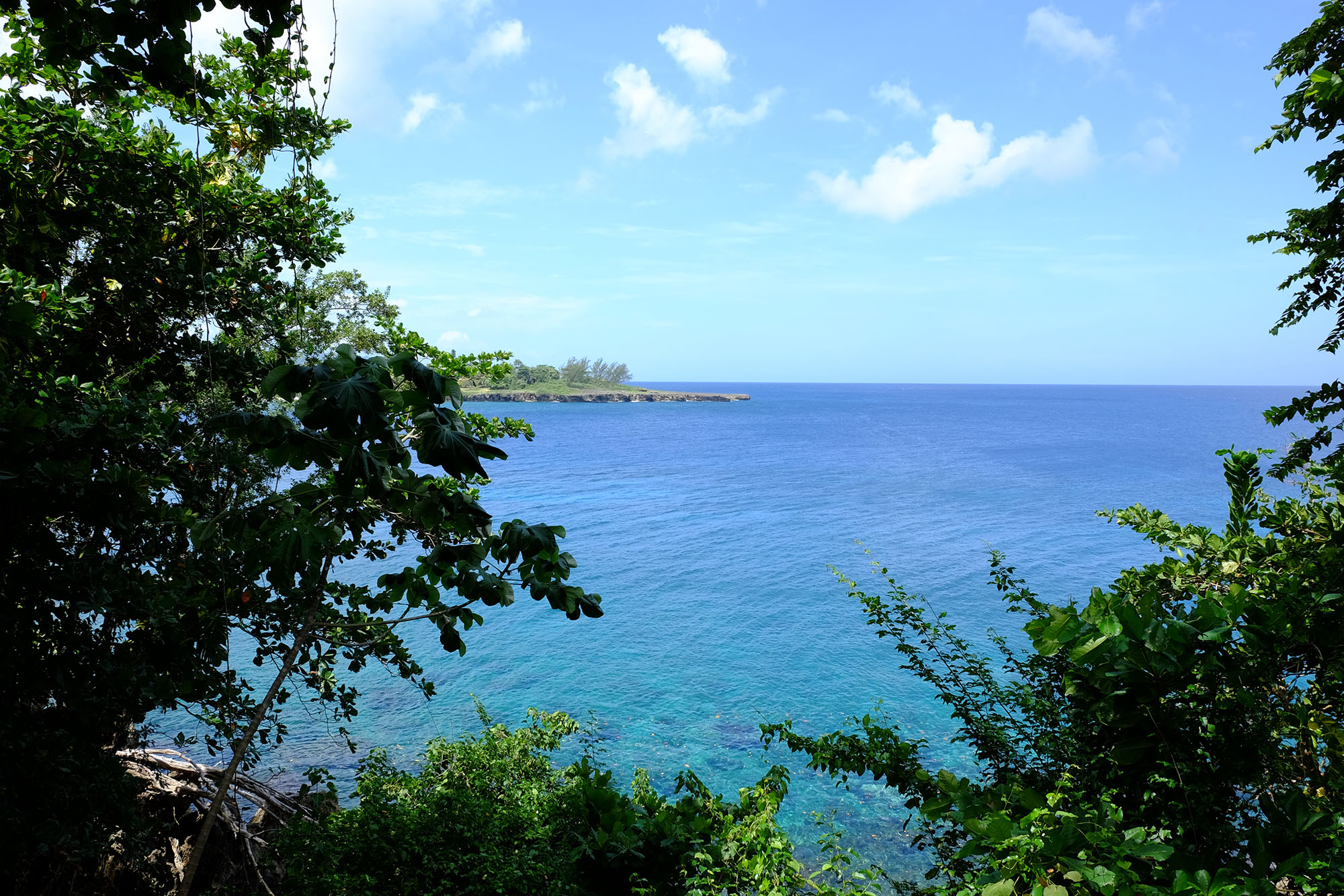 A daytime photo of an ocean framed by foliage, with blue skies and white clouds